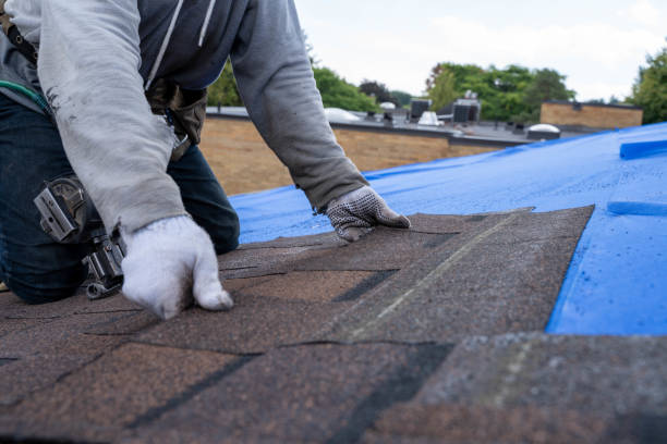 Best Roof Repair Services  in Ashville, OH