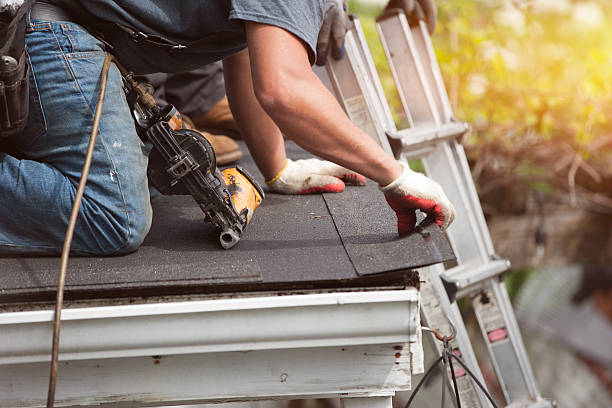 Best Storm Damage Roof Repair  in Ashville, OH